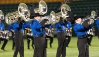 Bucs Horns v2