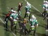 DCW_Cavaliers 11_Vogel Weiss