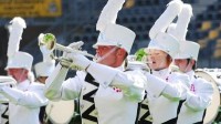 Staffordshire_Knights